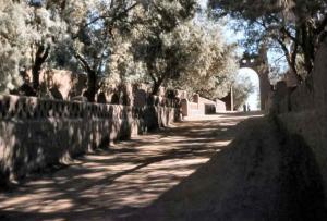 مكان اثري لمدينة عين صالح قديما