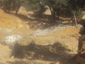 Foret périurbaine  deTiaret CRIME A CIEL OUVERT