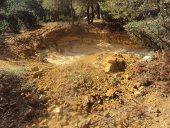 Foret périurbaine  deTiaret CRIME A CIEL OUVERT