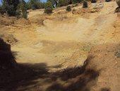 Foret périurbaine  deTiaret CRIME A CIEL OUVERT