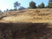 Foret périurbaine  deTiaret CRIME A CIEL OUVERT