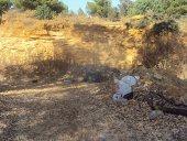 Foret périurbaine  deTiaret CRIME A CIEL OUVERT