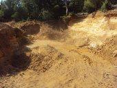 Foret périurbaine  deTiaret CRIME A CIEL OUVERT