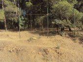 Foret périurbaine  deTiaret CRIME A CIEL OUVERT