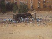 DÉCHETS DANS LA CITE