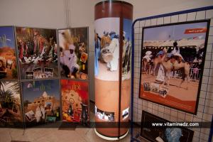 Semaine culturelle des wilayas de Tamanrasset Adrar Ilizi et Tindouf