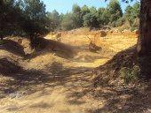 Foret périurbaine  deTiaret CRIME A CIEL OUVERT