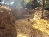 Foret périurbaine  deTiaret CRIME A CIEL OUVERT