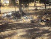 DÉCHETS DANS LA CITE