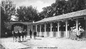 ANCIENNE TIARET LA JUMENTERIE DE CHAOU CHAOUA