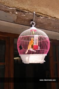 حلاق  في أحد دروب مدينة تلمسان