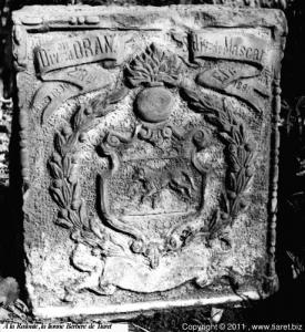 LA LIONNE BERBÈRE DE TIARET LA REDOUTE