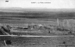 HISTOIRE DE TIARET