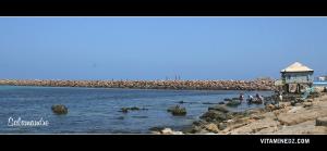 Plage : La Salamandre