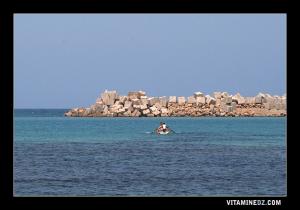 La Salamandre, port de pêche et de plaisance, toujours en construction depuis mars 2002