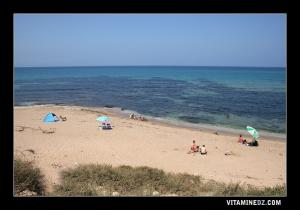 La plage La Salamandre, une mer turquoise