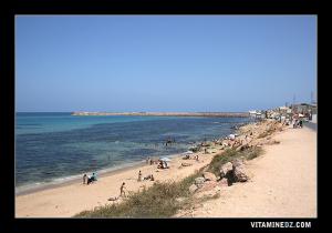 La plage La Salamandre, Aout 2007