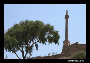 La colonne perchée sur les hauteurs de Mezeghran