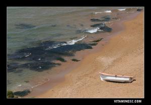 Plages du Moulin Bigore (ou plage Metterba)