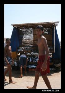 à la plage Kharouba, le poisson à profusion