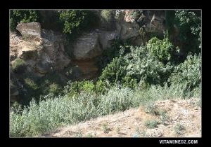 Oued Aïn Sefra, traversant la ville de Mostaganem