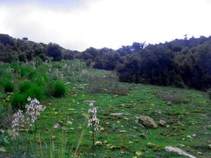 Hidoussa Avril 2006 - 2