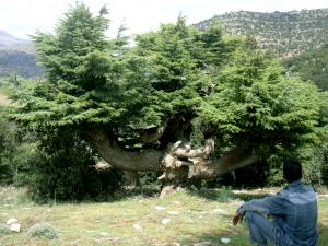 Hidoussa Avril 2006 - 4