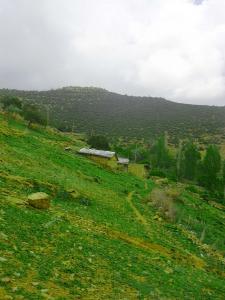 Hidoussa Avril 2006 - 8