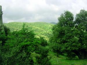 Hidoussa Avril 2006 - 9