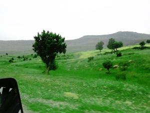 Hidoussa juin 2006 - 2