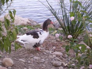 au parc zoologique de jijel