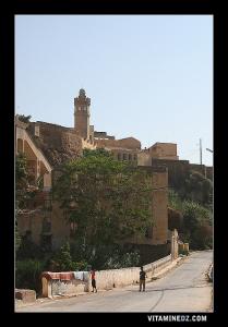 Mosquée Tebbana, srplombant le vieux quartier de Souika, et Oued Ain Sefra