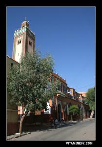 Mosquée de la Zaouia El Alawiya à Tigditt