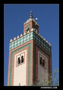 Minaret de la Mosquée des Alawiyines à Tigditt