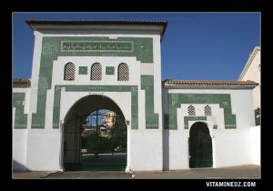 Université de Mostaganem