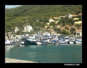 Le port de Tenes