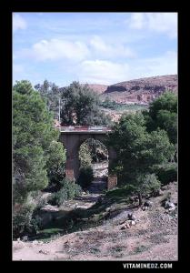 Pont du vieux Saida.