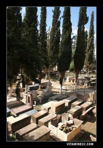 Cimetière juif                         .