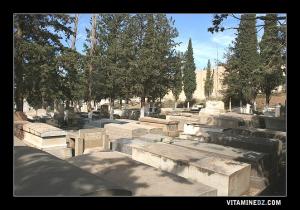 Cimetière juif                                                  .
