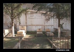 cimetière juif de Saida