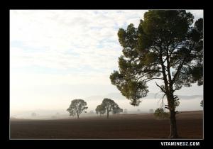 Entre Sidi Bellabes et Saida des paysages a coupé le souffle
