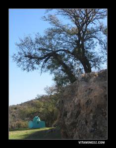 Le marabout de Sidi Addiche