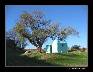 Le marabout de Sidi Addiche.