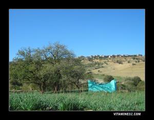 Marabout de Sidi Mhammed