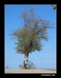 Un habitant de Ouled Mimoun
