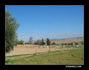 Cimetière de la commune de Ouled Mimoun