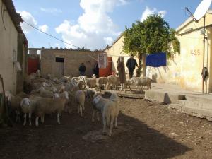 une ferme d\\\'Ain Abid