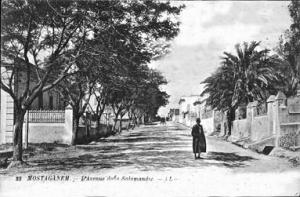 L'avenue de la Salamandre (avenue maréchal Leclerc)