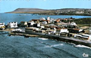La Salamandre - carte postale années 1950-60