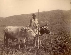 Paysan Kabyle (Circa 1900)